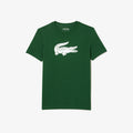 GREEN / WHITE / WHITE / GREEN / GREEN