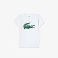 WHITE / GREEN