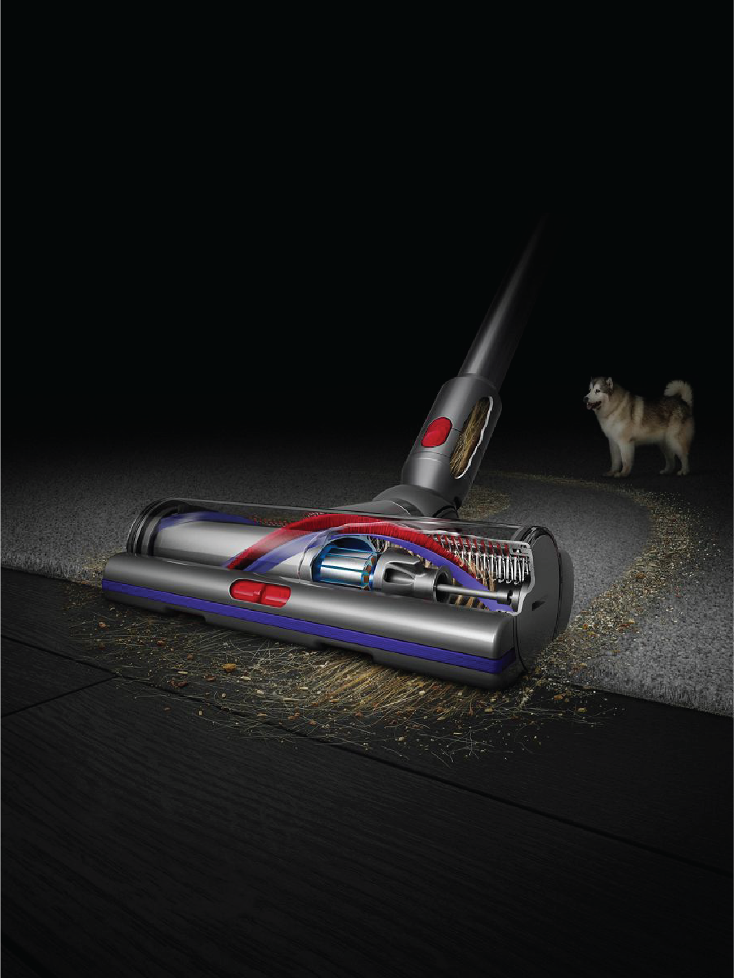 Dyson Floor Care