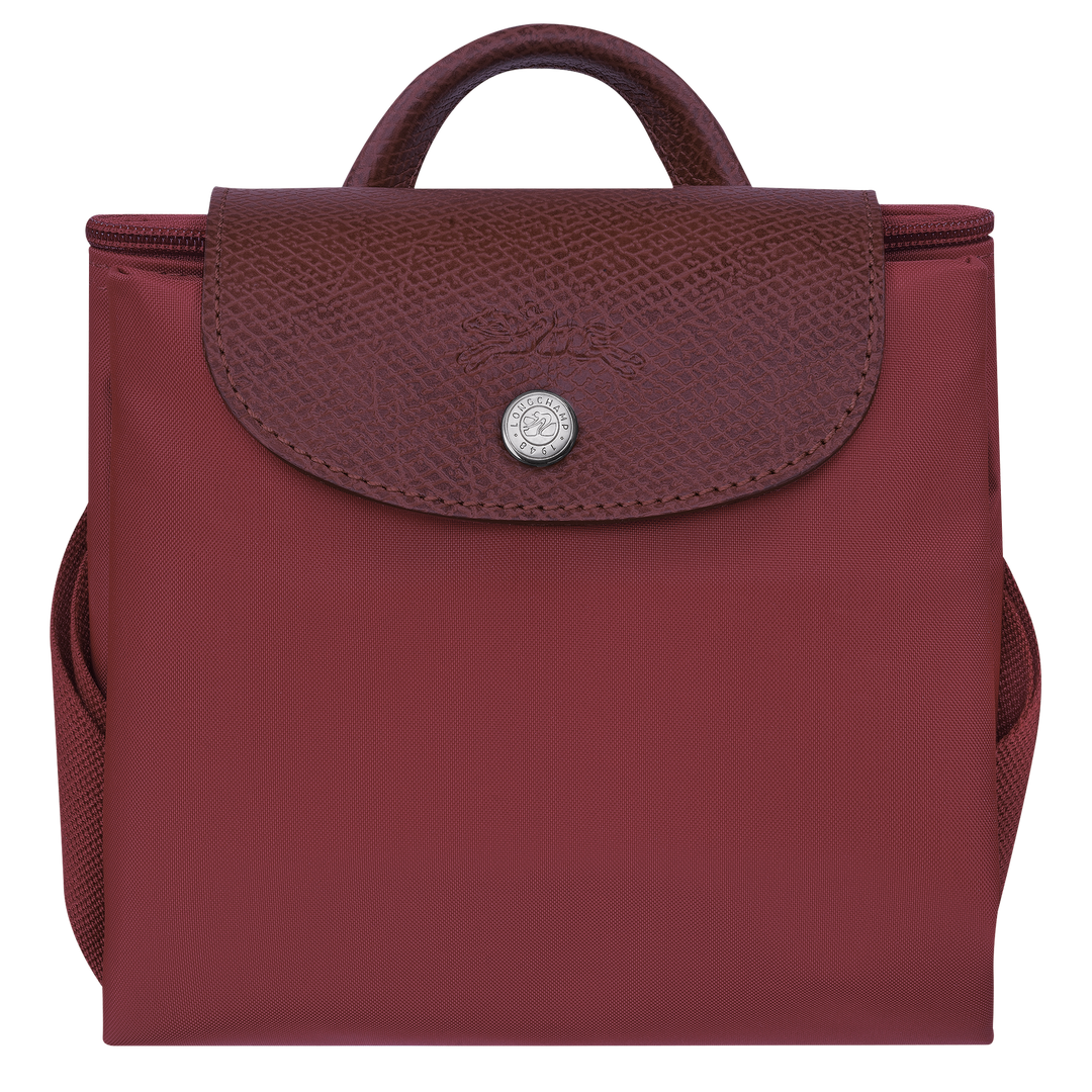 Le Pliage Green M Backpack  -  10284919