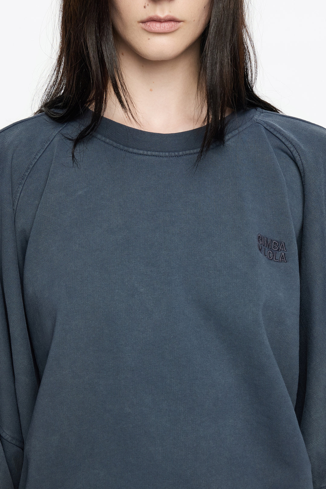 Blue-gray embroidered logo balloon sweatshirt
