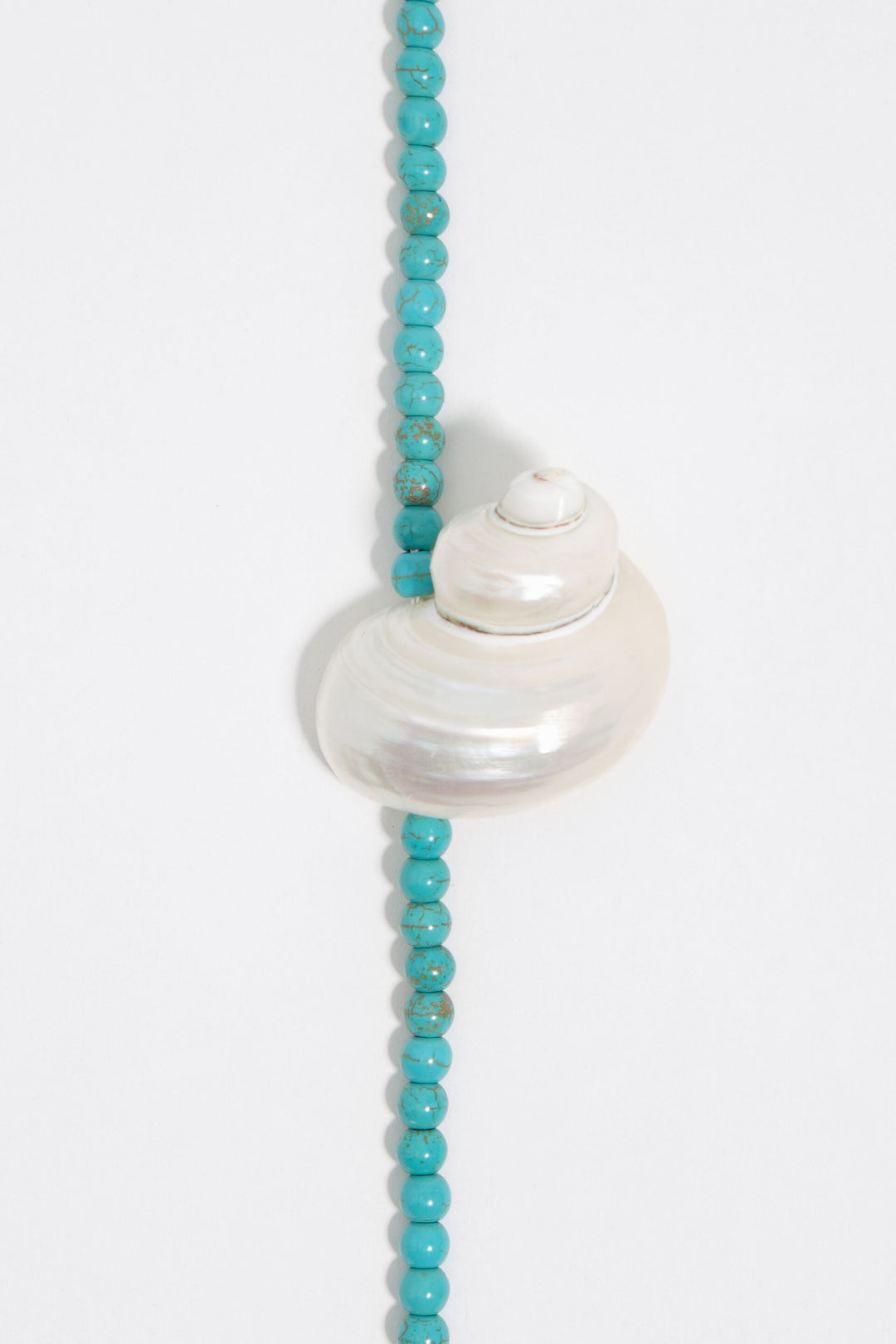 Necklace with natural seashell and turquoise stones