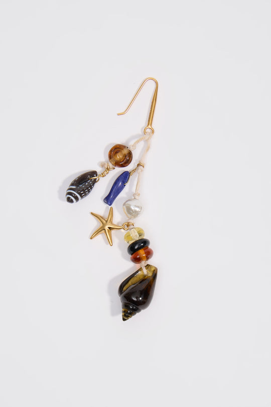 Amber starfish and seashell earrings