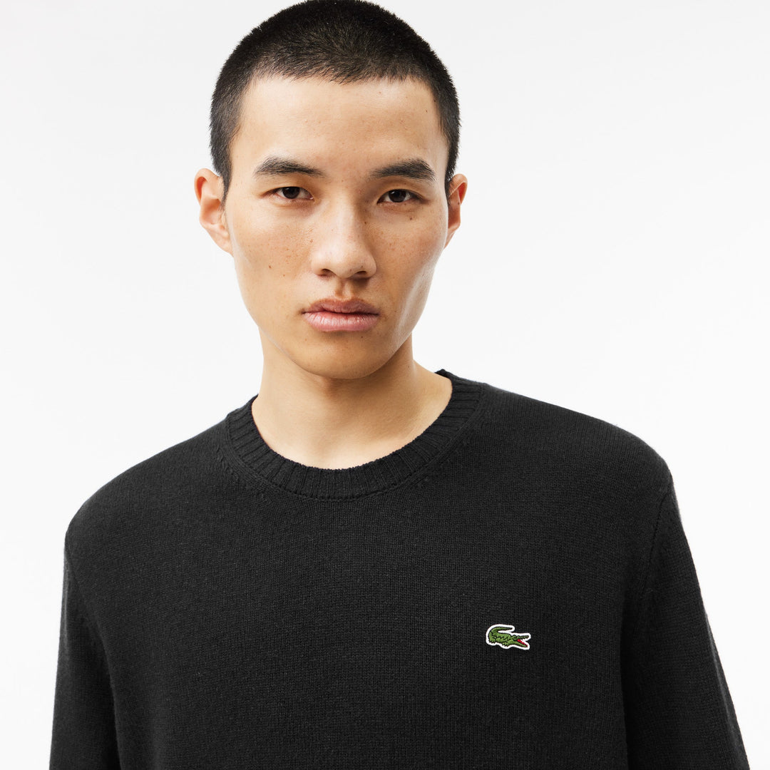 Carded Wool Crew Neck Sweater - AH2916