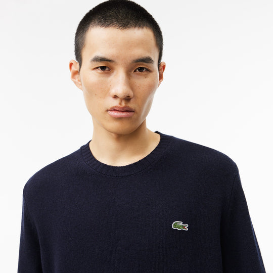 Carded Wool Crew Neck Sweater - AH2916