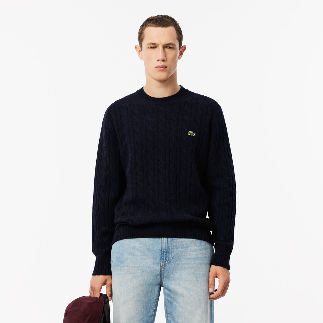 Cable Knit Carded Wool Crewneck Sweater - AH2924
