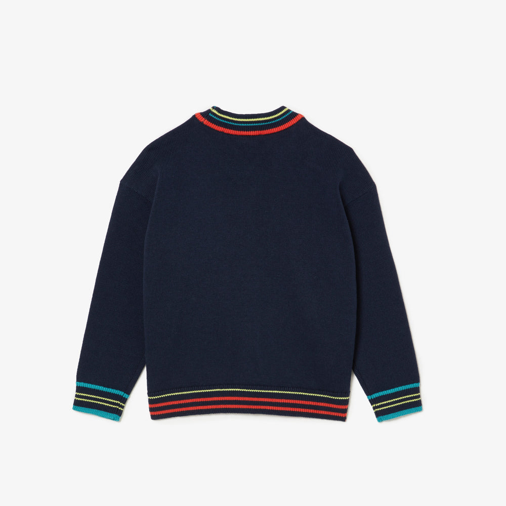 Cotton and Wool Blend V Neck Sweater - AJ1201