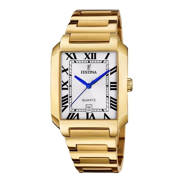 Festina Men Classic Watch F20678/1