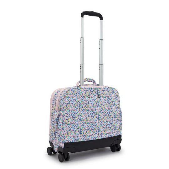 NEW STORIA -I4847