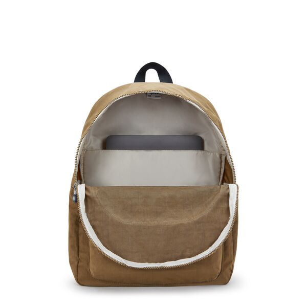 CURTIS L-I6521
