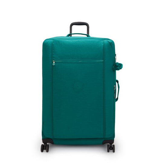 JET L -I9556
