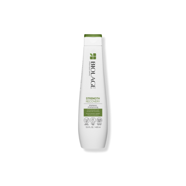 Shop The Latest Collection Of Biolage Strenght Recovery Shampoo 250 Ml For Damaged Hair In Lebanon