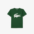 Green / White