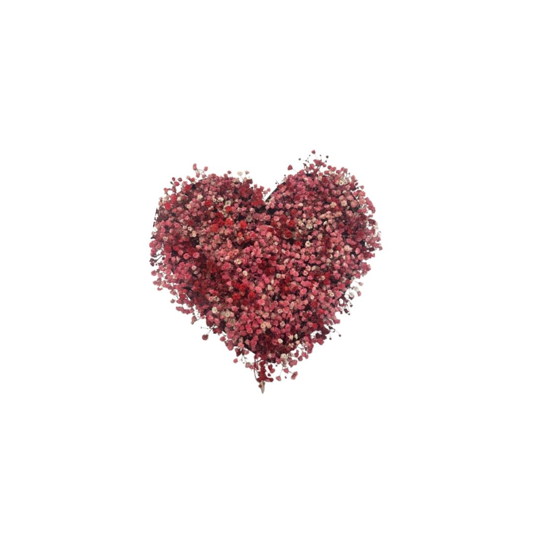Heart-Shaped Box