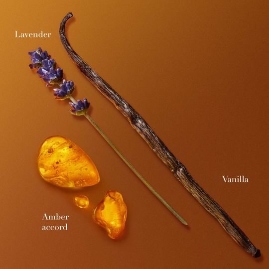 Stronger With You Amber Eau De Parfum