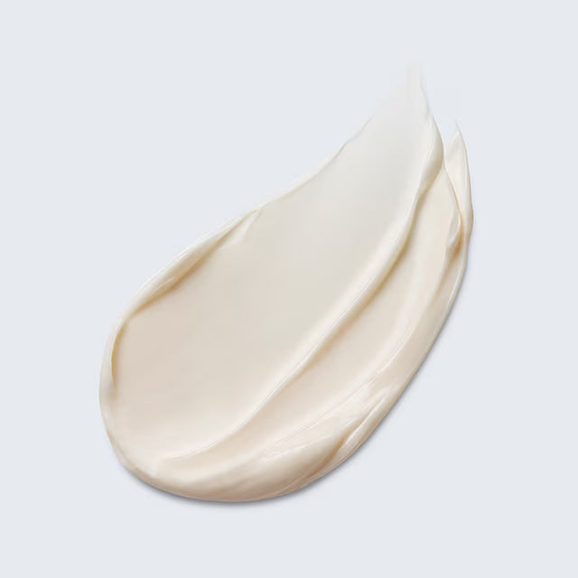 Advanced Night Repair Overnight Treatment 65ml