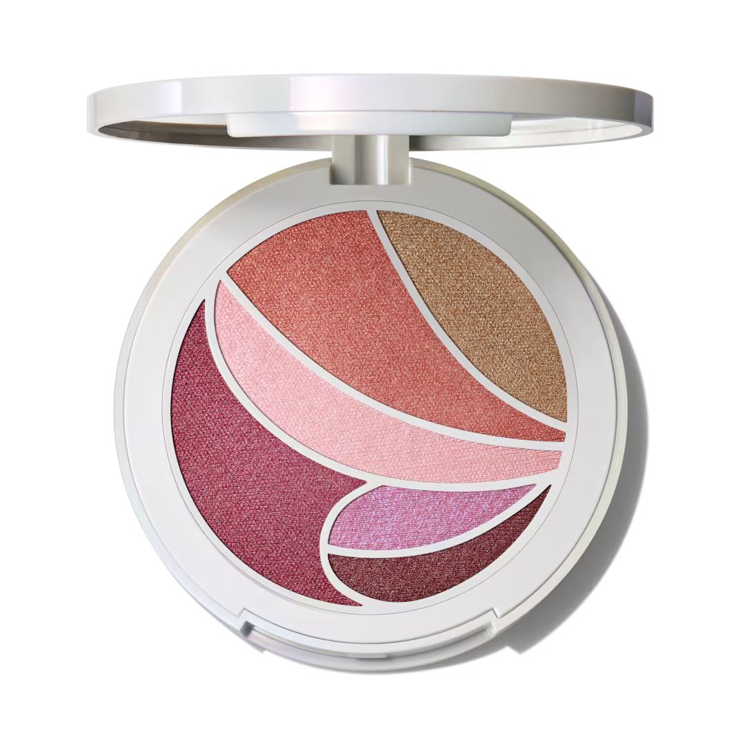 Face & Eye Palette / Metamorphosis Collection - MYHOLDAL LEBANON