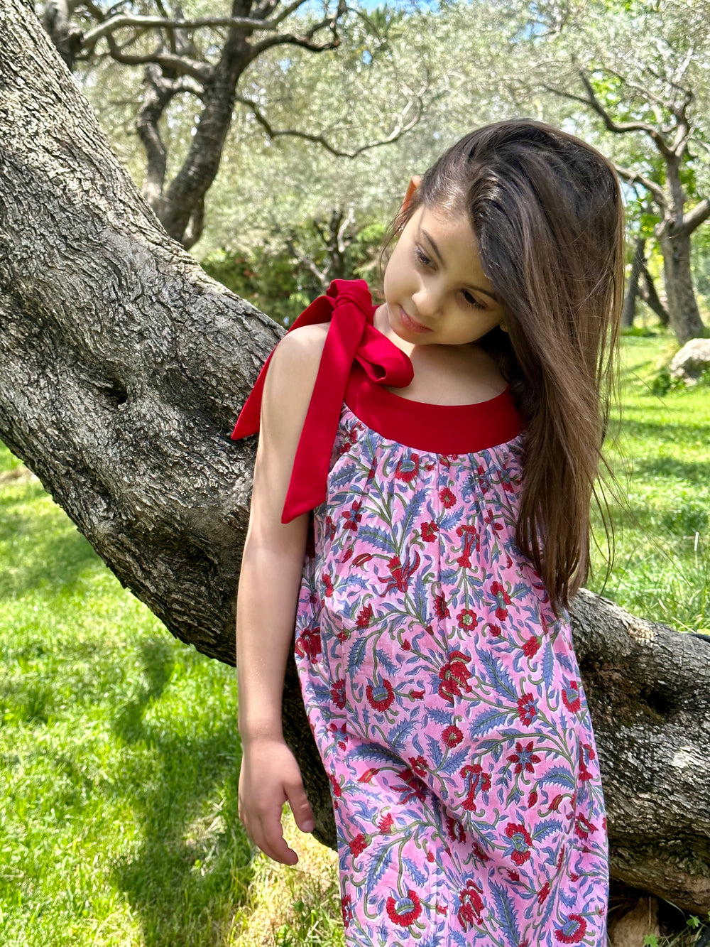 Emily Pink Floral Dress With Red Collar