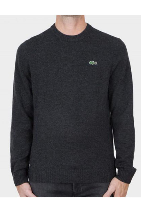Men's Crew Neck Wool Sweater