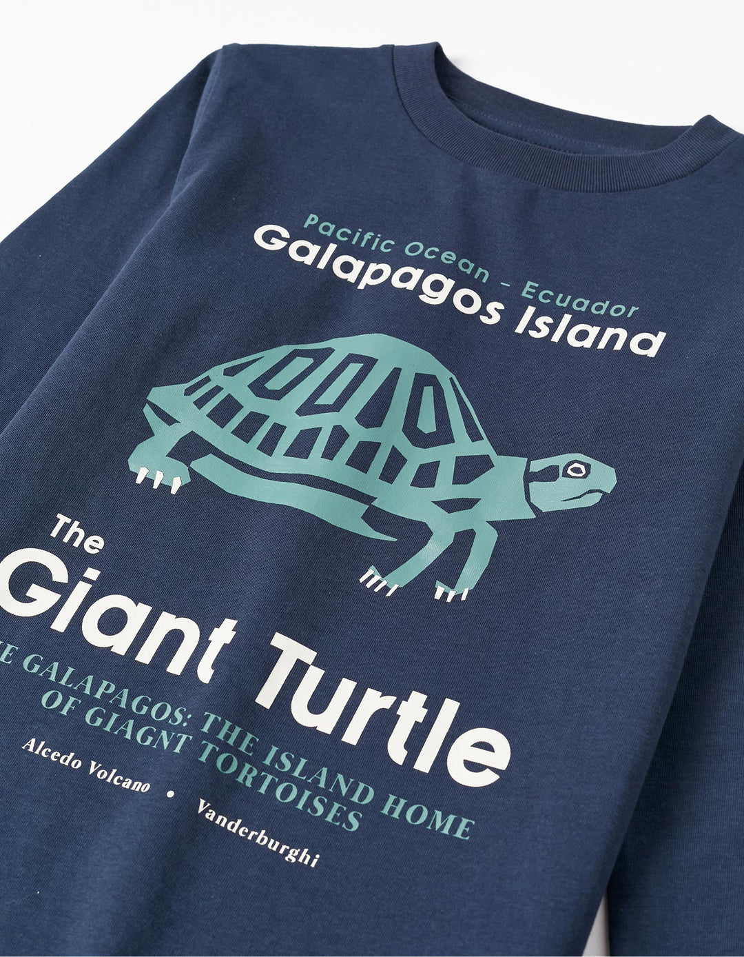Pack 2 Cotton T-shirts for Boys 'Giant Turtle', Dark Blue/Grey