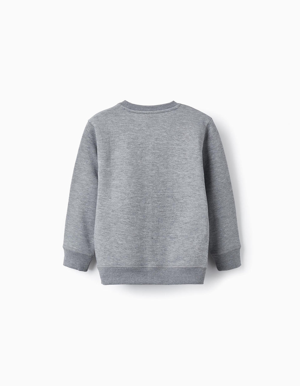 Sweatshirt for Boys 'Endangered species', Grey