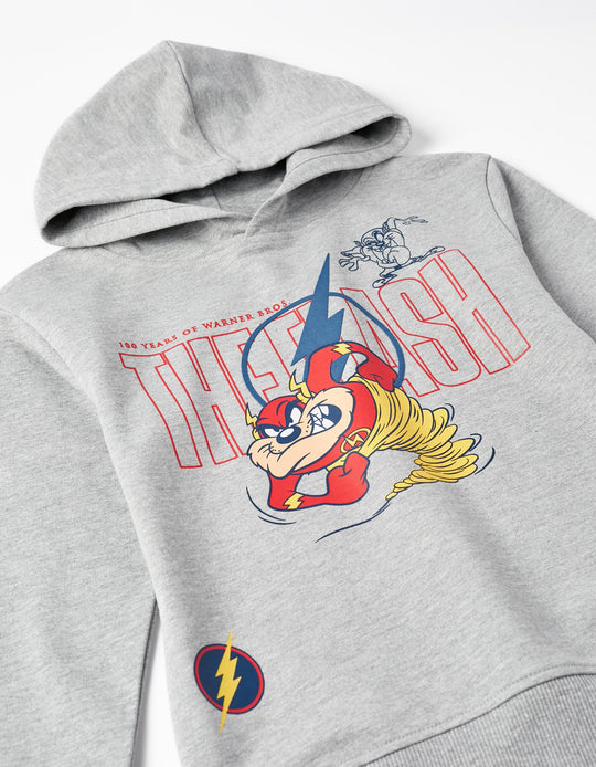 Hoodie for Boys 'Looney Tunes x The Flash', Grey