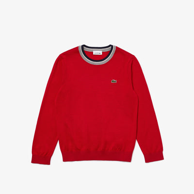 Kids' Lacoste Contrast Collar Cotton Jersey Sweater - Aj9729