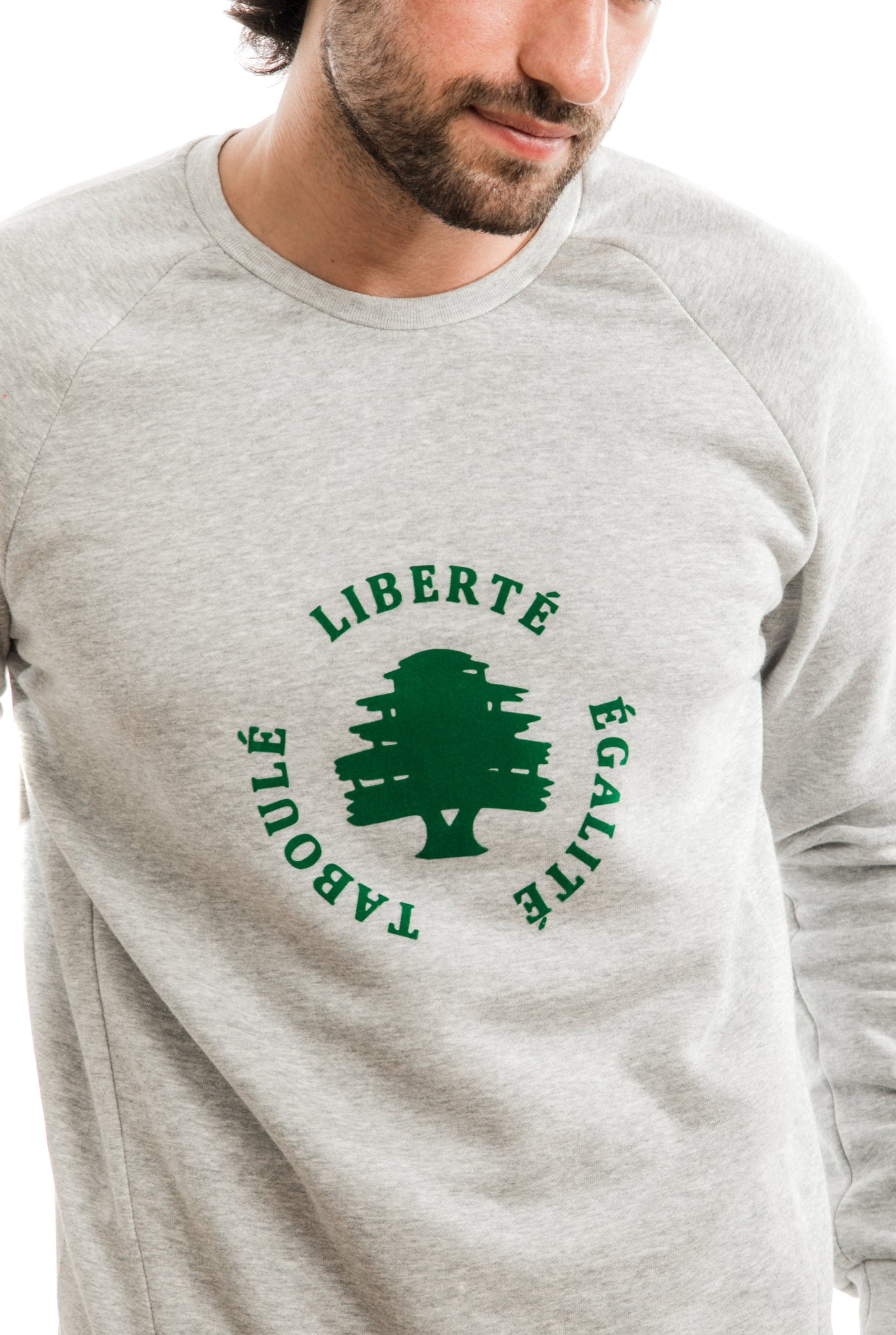 young adult male wearing grey sweater with liberté égalité taboulé written in french and in green in the center of the sweater