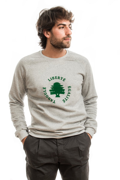 young adult male wearing grey sweater with liberté égalité taboulé written in french and in green in the center of the sweater along with black trousers