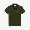CAPER BUSH 3M9