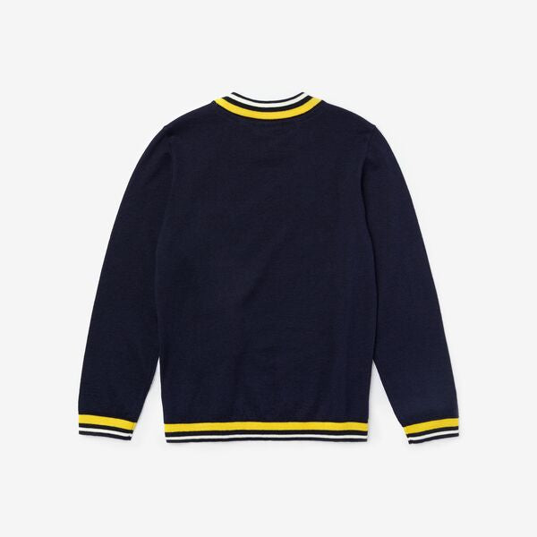 Boys' Striped Details Wool And Cotton Sweater - Aj1352