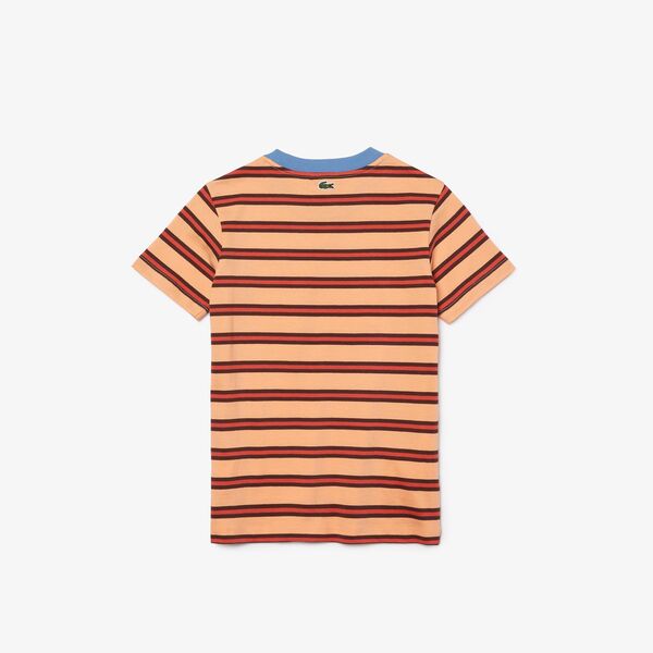 Boys' Crew Neck Striped Lightweight Cotton T-Shirt - Tj2502