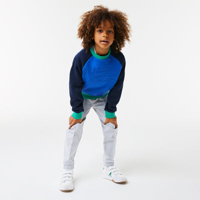 Boys' Lacoste Branded Colour-Block Sweatshirt - Sj9818