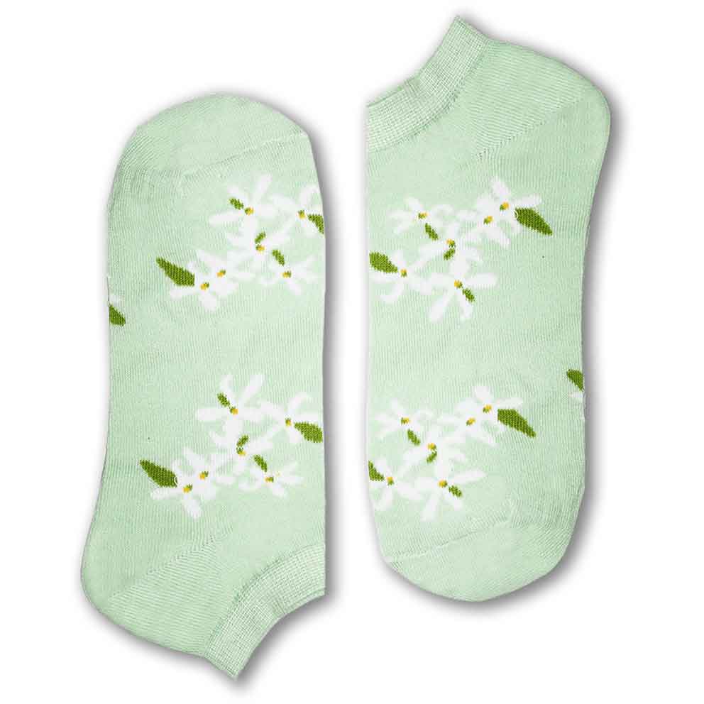 Shop The Latest Collection Of Sikasok Jasmine Socks 36-40 - Green In Lebanon